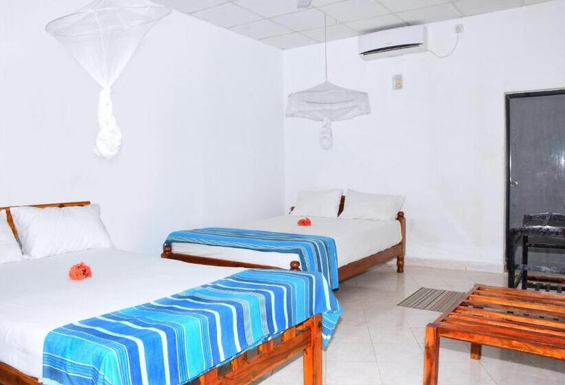 리조트 New Vilard