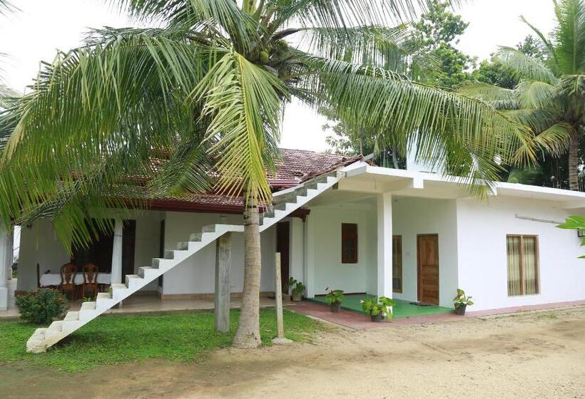 리조트 New Vilard