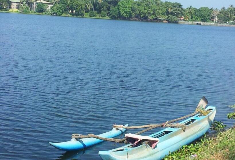 리조트 New Vilard