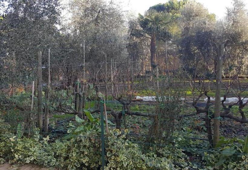 مبيت وإفطار Orto Degli Ulivi