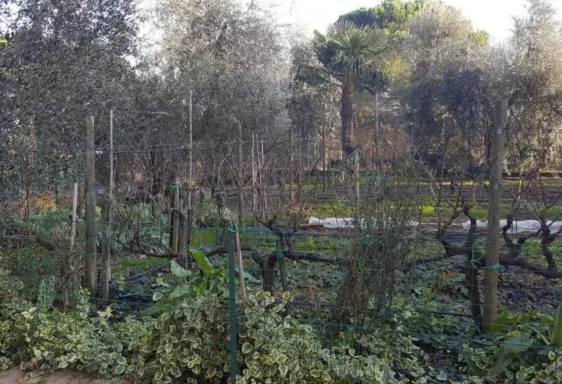 Aamiaismajoitus (B&B) Orto Degli Ulivi