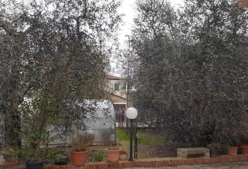 Aamiaismajoitus (B&B) Orto Degli Ulivi