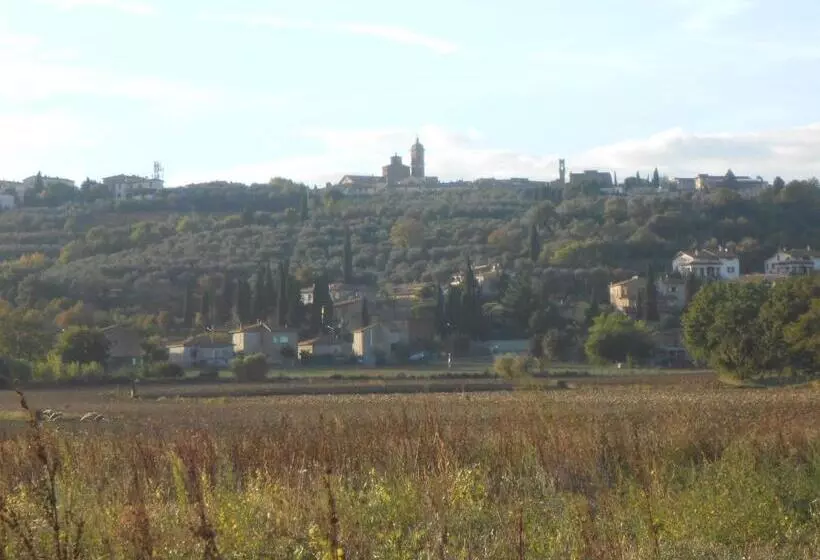 Aamiaismajoitus (B&B) Orto Degli Ulivi