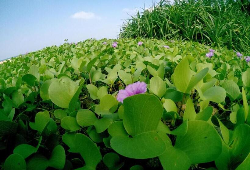 تختخواب و صبحانه Susee Villa