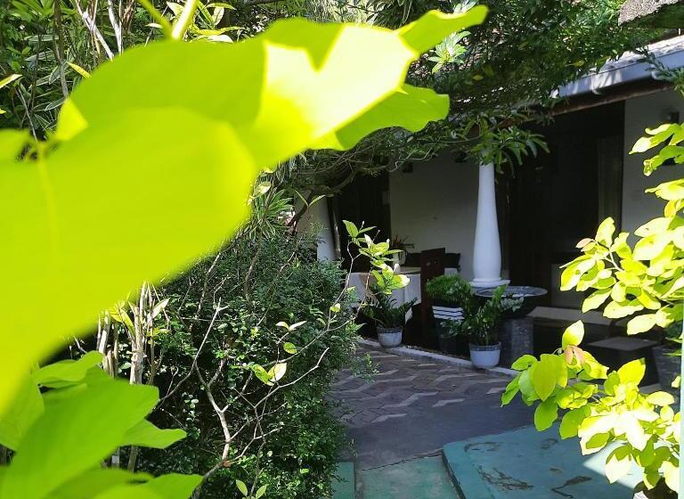 تختخواب و صبحانه Susee Villa