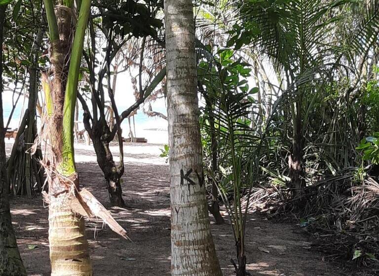 تختخواب و صبحانه Susee Villa