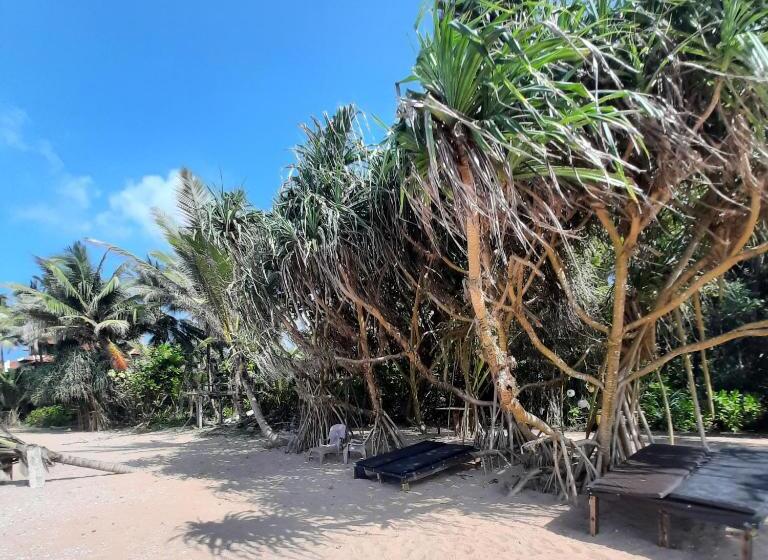 تختخواب و صبحانه Susee Villa