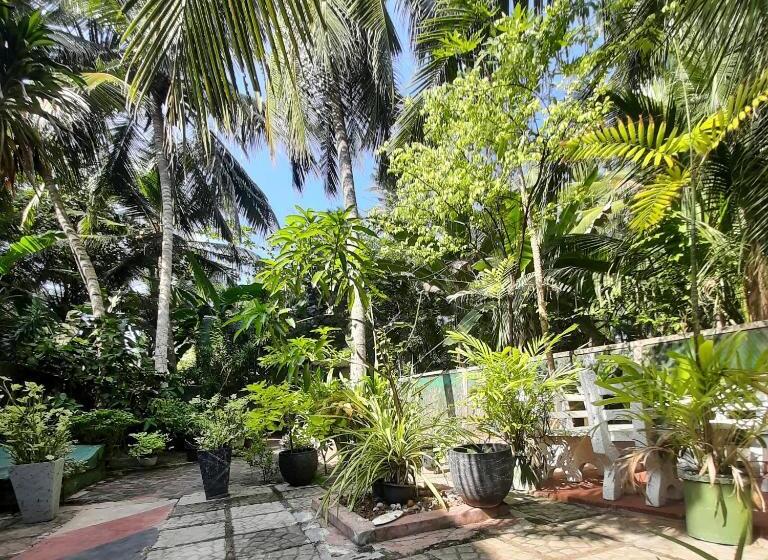 تختخواب و صبحانه Susee Villa