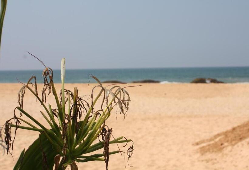 تختخواب و صبحانه Susee Villa