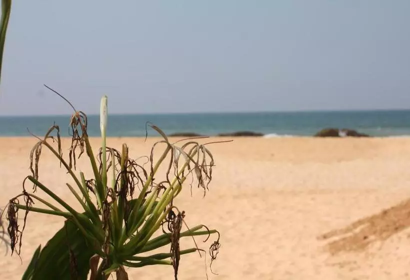 Bed & Breakfast Susee Villa