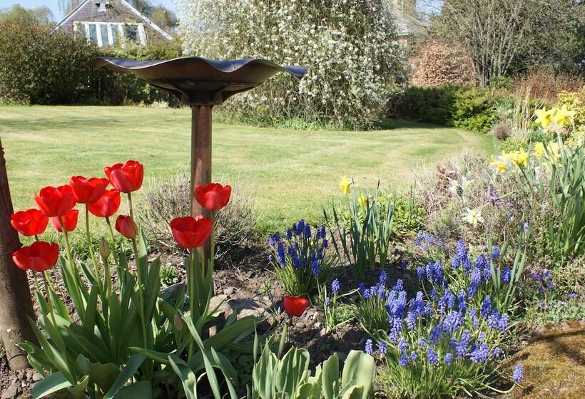 ベッドアンドブレックファースト The Barn At The Coach House