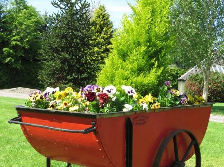 ベッドアンドブレックファースト The Barn At The Coach House