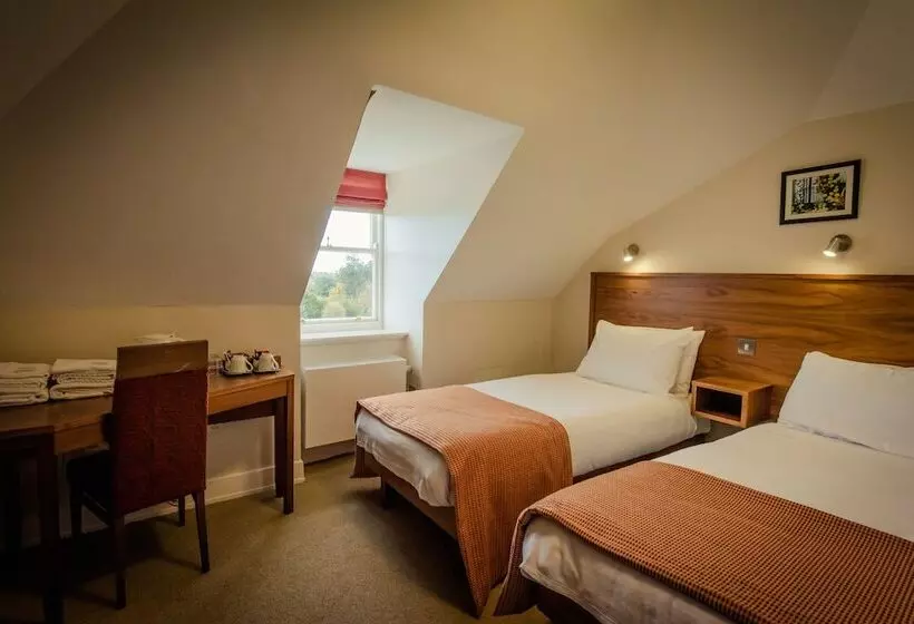 هاستل Dcu Rooms All Hallows