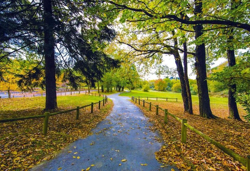 Отель Etoile De Pompadour