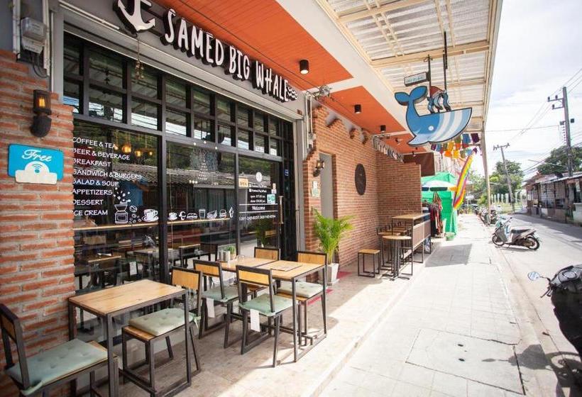 هاستل Samed Big Whale