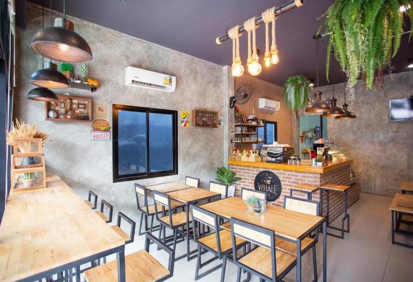 هاستل Samed Big Whale