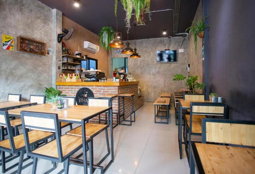 هاستل Samed Big Whale