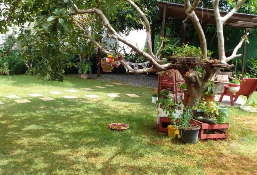 تختخواب و صبحانه Cantinho Da Janete