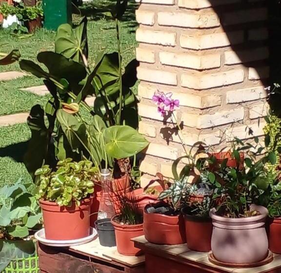 تختخواب و صبحانه Cantinho Da Janete