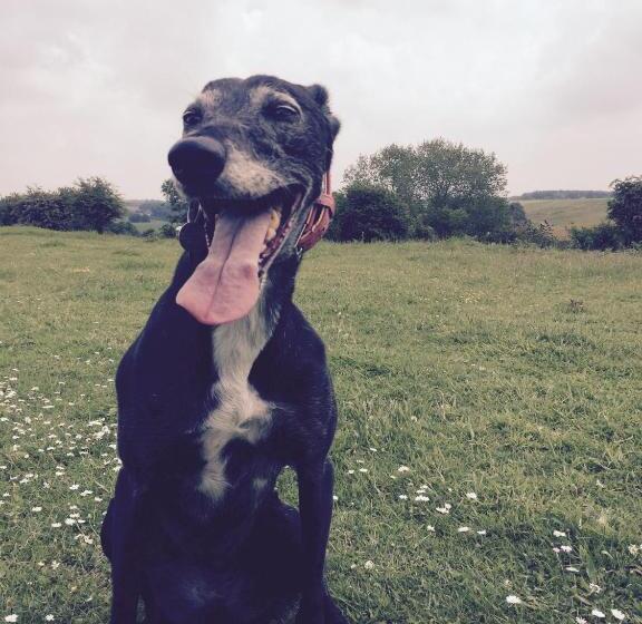 Bed and Breakfast Grange Bank House