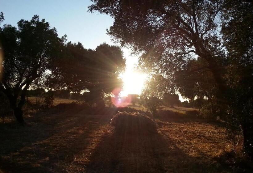 تختخواب و صبحانه The Proud Garden
