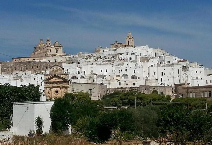 تختخواب و صبحانه The Proud Garden