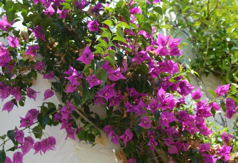 تختخواب و صبحانه The Proud Garden