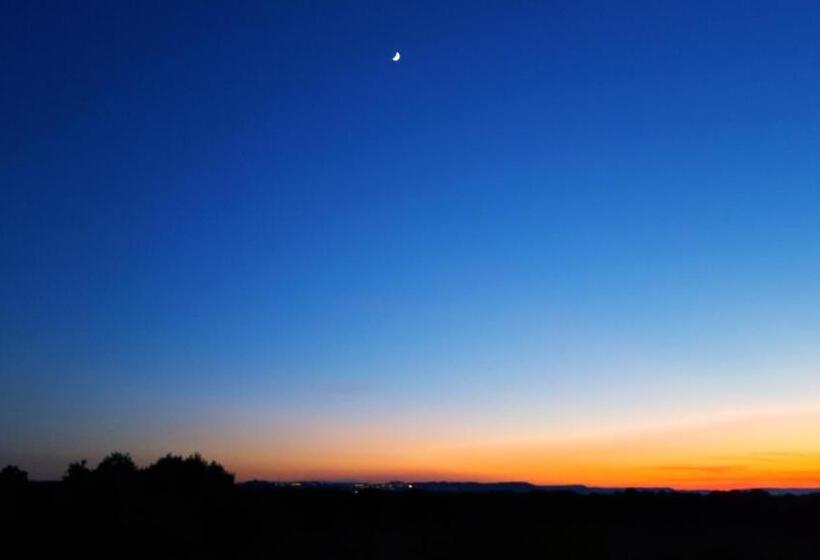 تختخواب و صبحانه The Proud Garden