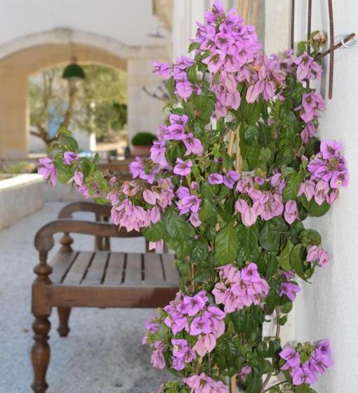 تختخواب و صبحانه The Proud Garden