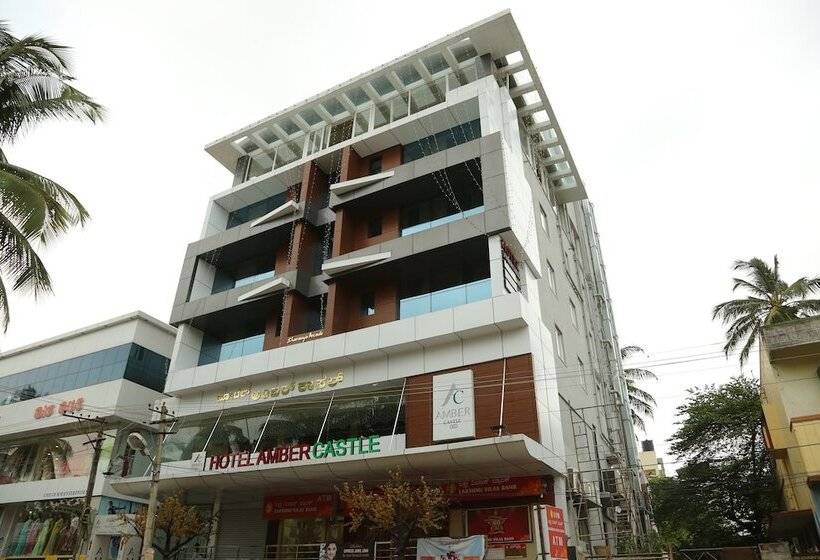 Отель Amber Castle