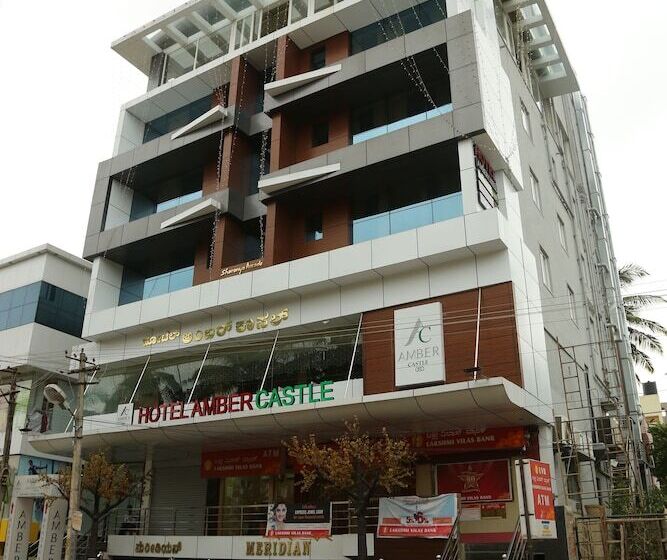 Отель Amber Castle