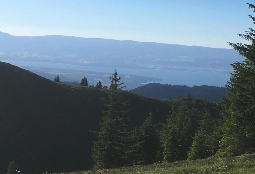 Отель Hôtel Les Skieurs