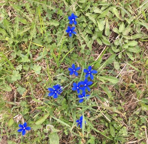 Отель Hôtel Les Skieurs