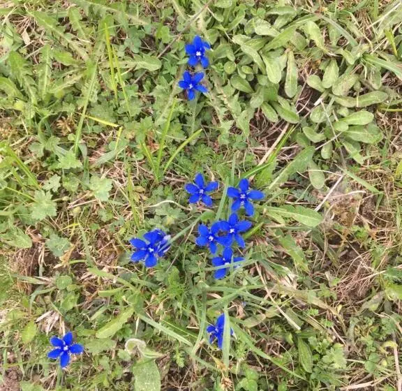 Hotelli Hôtel Les Skieurs