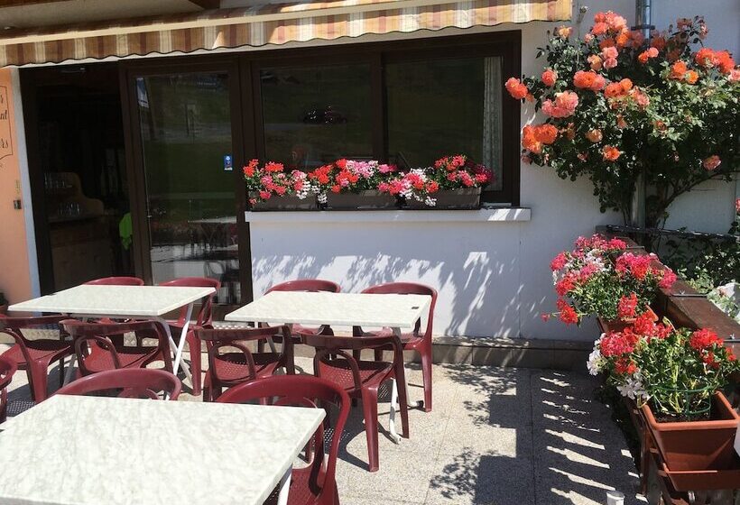 Отель Hôtel Les Skieurs