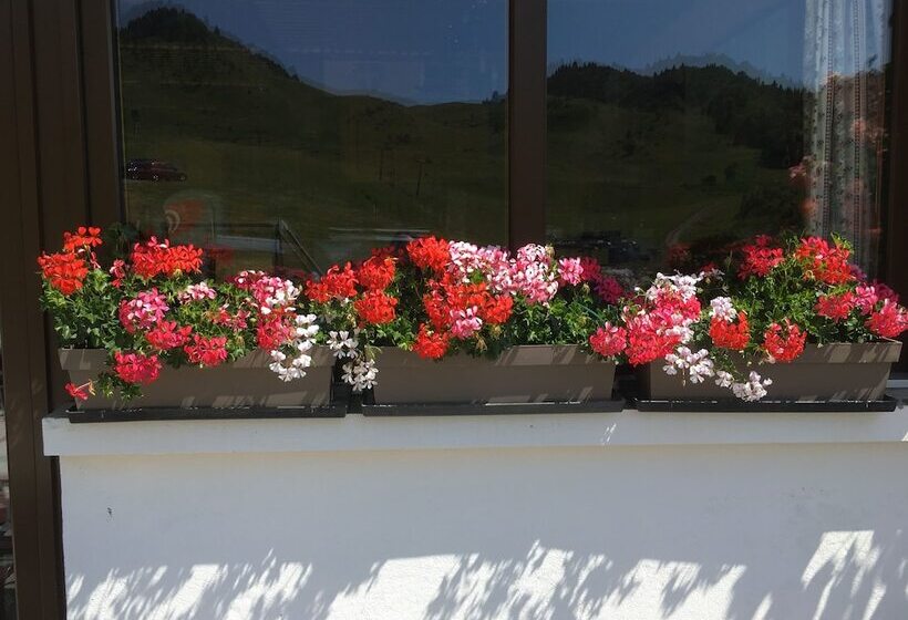 Отель Hôtel Les Skieurs