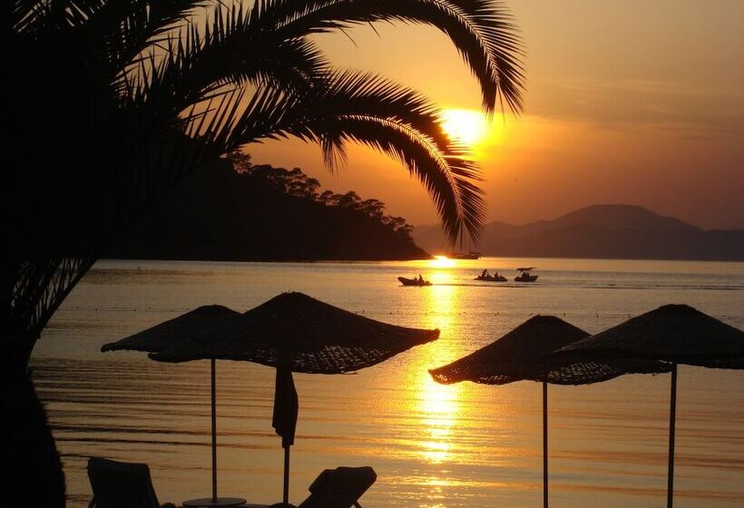 Lighthouse Nadia Aparts