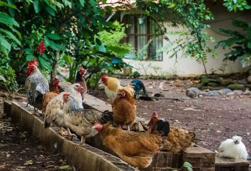 Quinta Mi Tata B&b