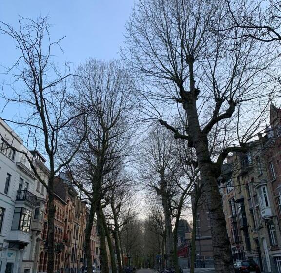 تختخواب و صبحانه The Hamptons Boutique