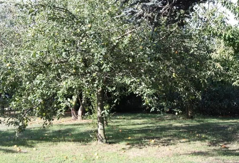 تختخواب و صبحانه La Villa Blanc