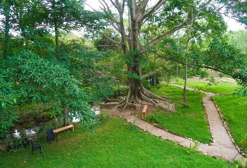 هتل Winika Habitat