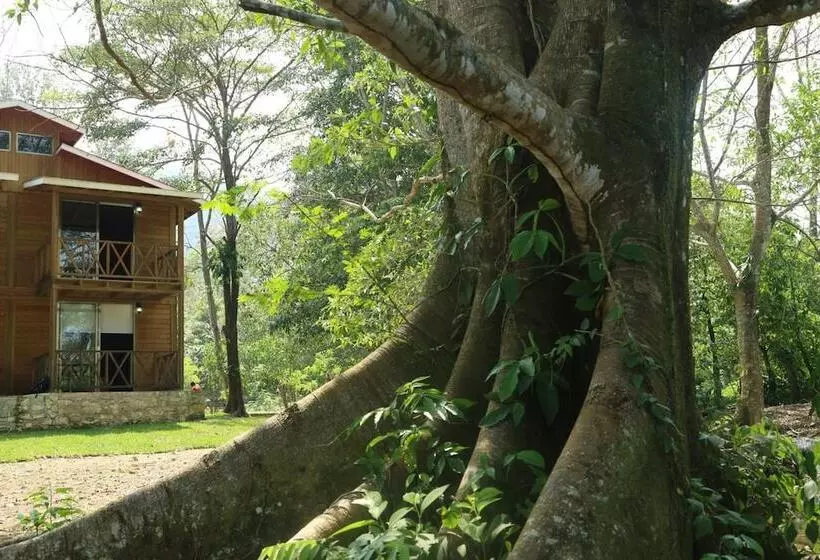 هتل Winika Habitat
