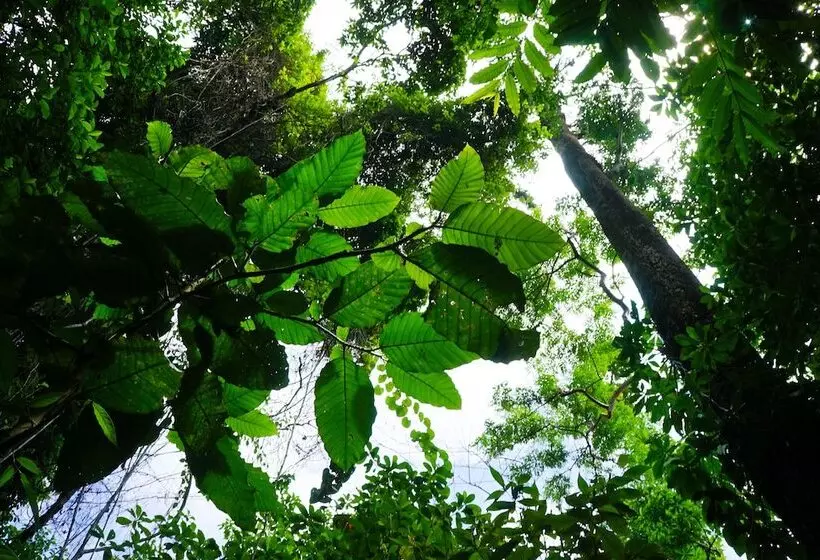 هتل Winika Habitat