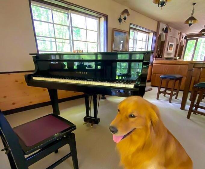 Bed and Breakfast Panketo Lodge & Yoga Studio