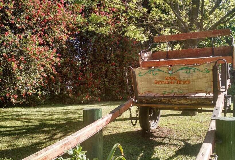 Отель Carmen De Areco