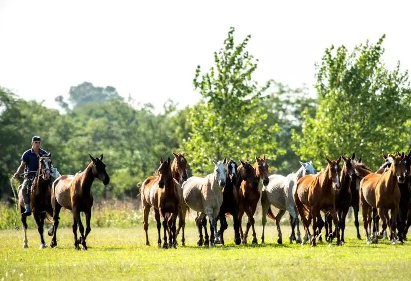 Hotelli Estancia La Sofia