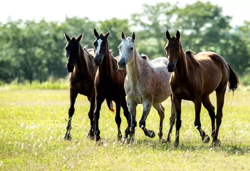 Hotelli Estancia La Sofia