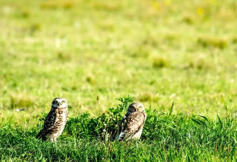 Hotelli Estancia La Sofia