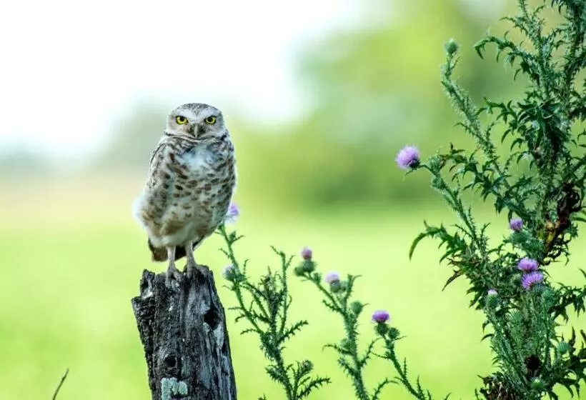 Hotelli Estancia La Sofia