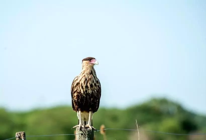 Hotelli Estancia La Sofia